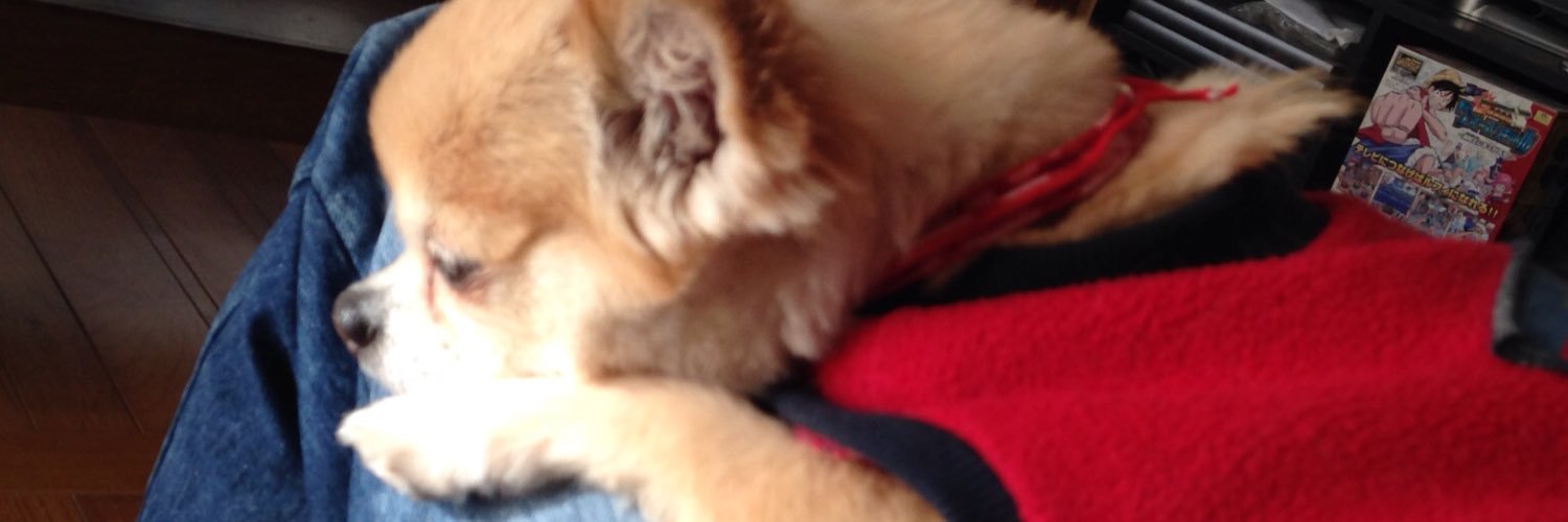 MieuTear's profile banner image
