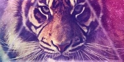 ipinBest's profile banner image