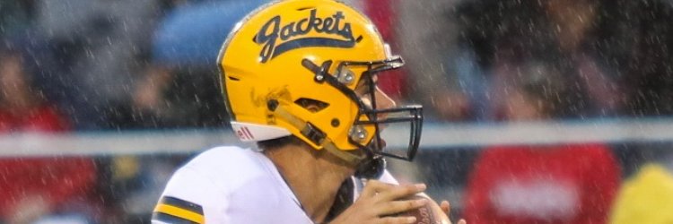 Terry Hessbrook banner