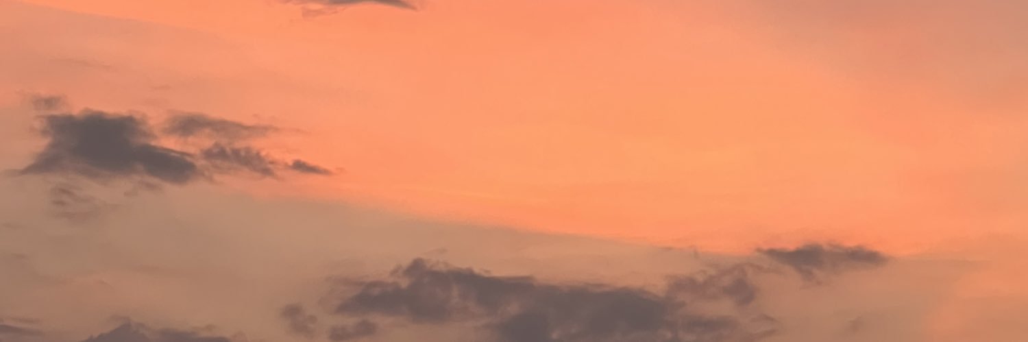 ppatttara's profile banner image