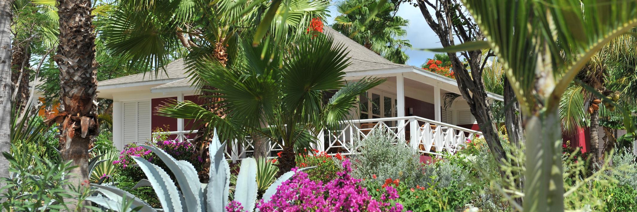 ChogogoResort's profile banner image