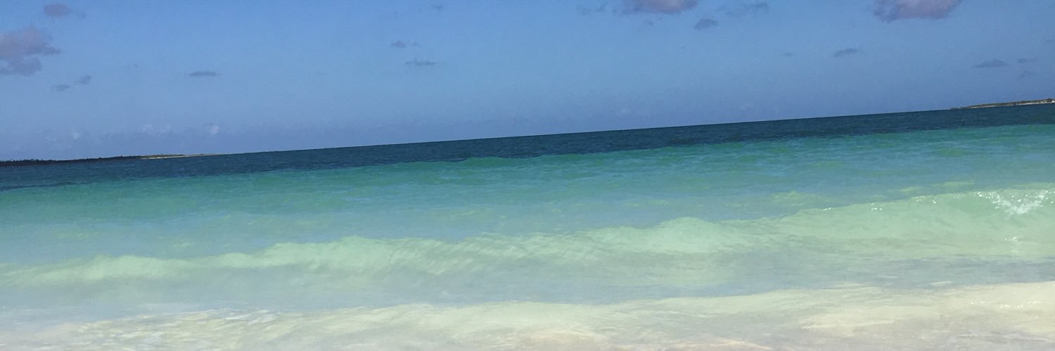 awilliamson2014's profile banner image