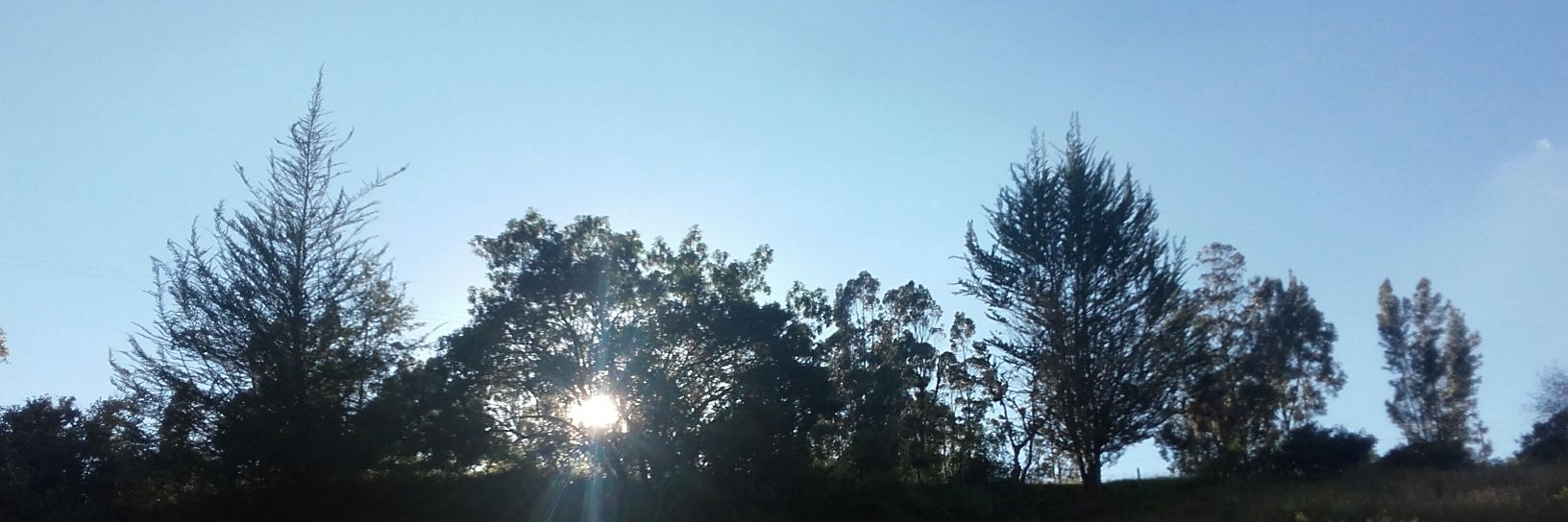 yuliduarte08's profile banner image