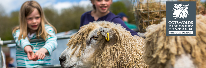 Cotswoldiscover's profile banner image