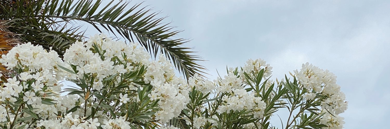 Georgiaindia's profile banner image