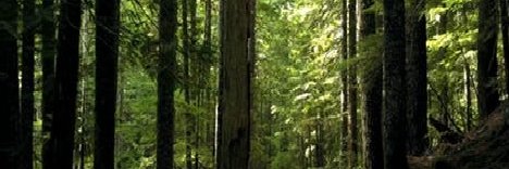 earthscraft's profile banner image