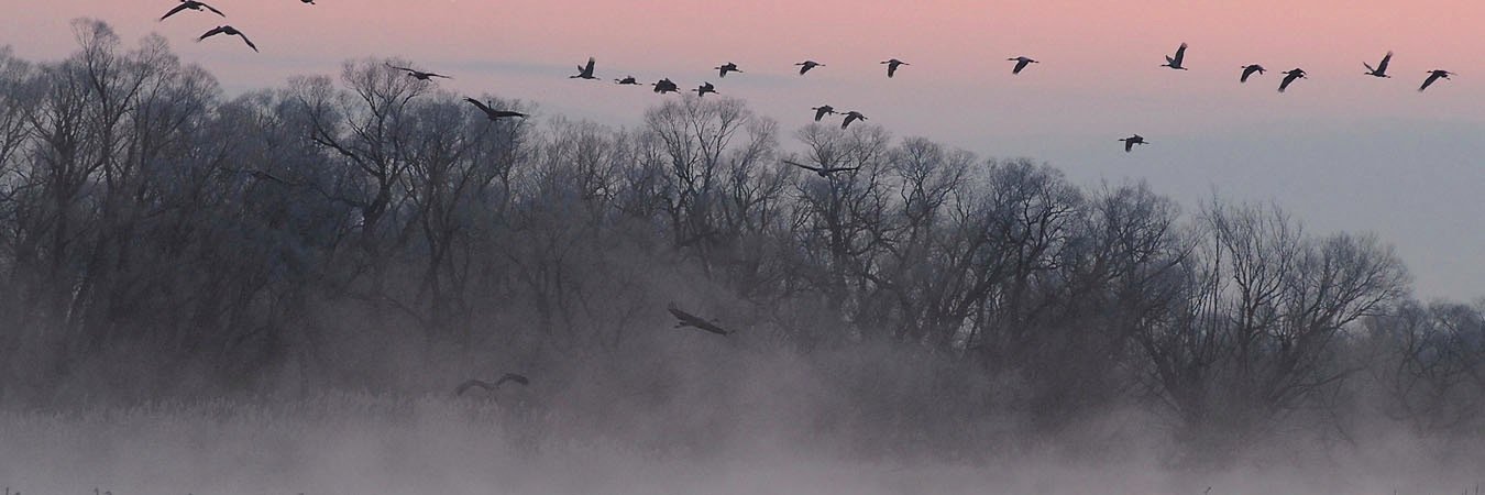 BoulderAudubon's profile banner image