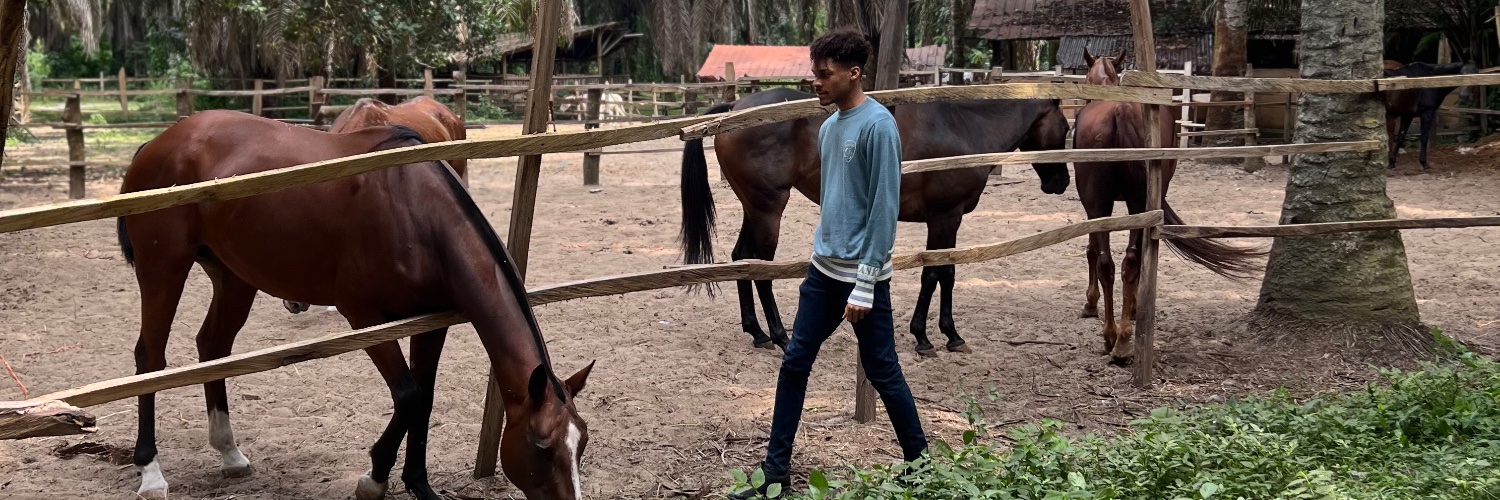 leviphiltweet's profile banner image