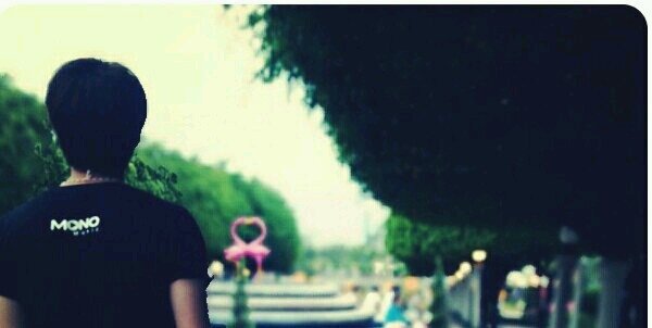 nuttiipop's profile banner image