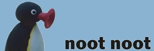 Nils banner