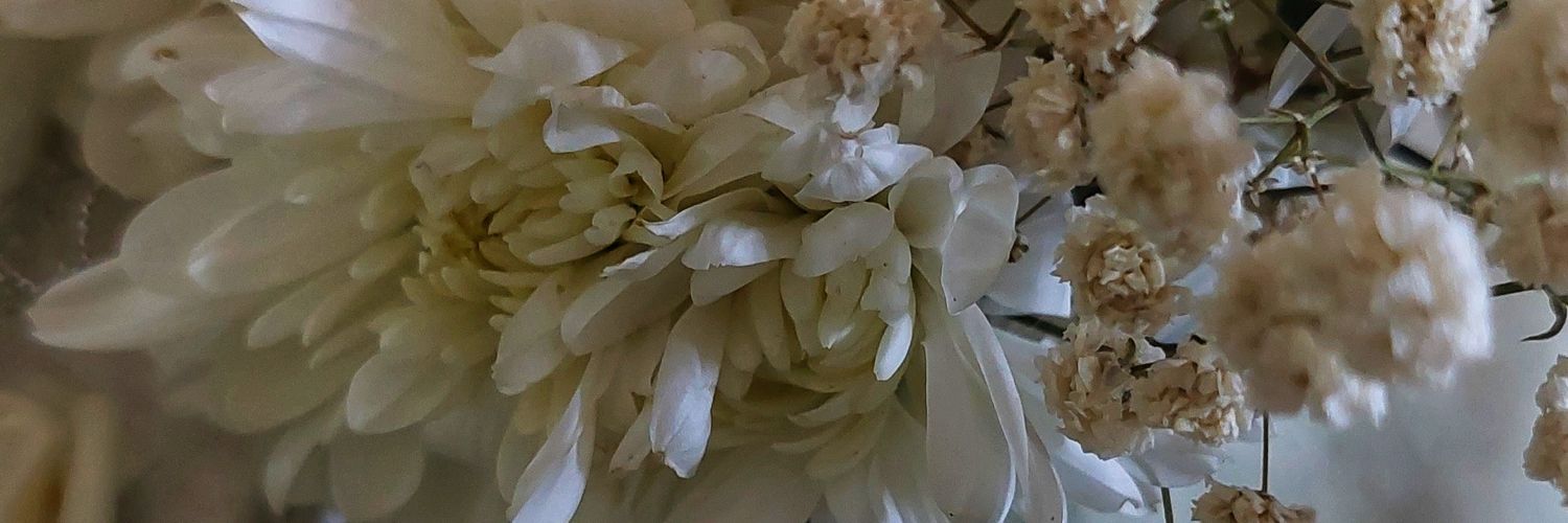 _CikNi's profile banner image