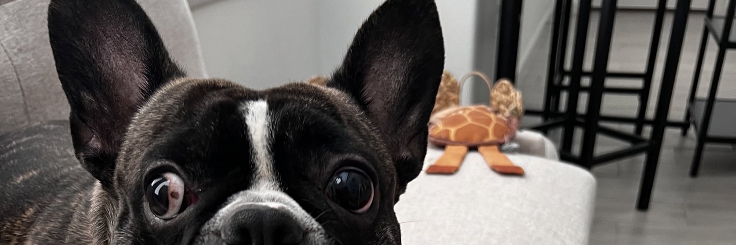 briccchere24's profile banner image