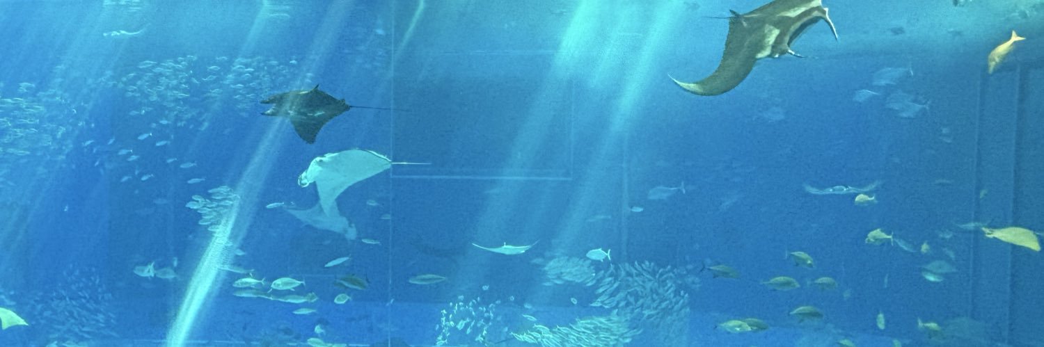 kktkt2's profile banner image
