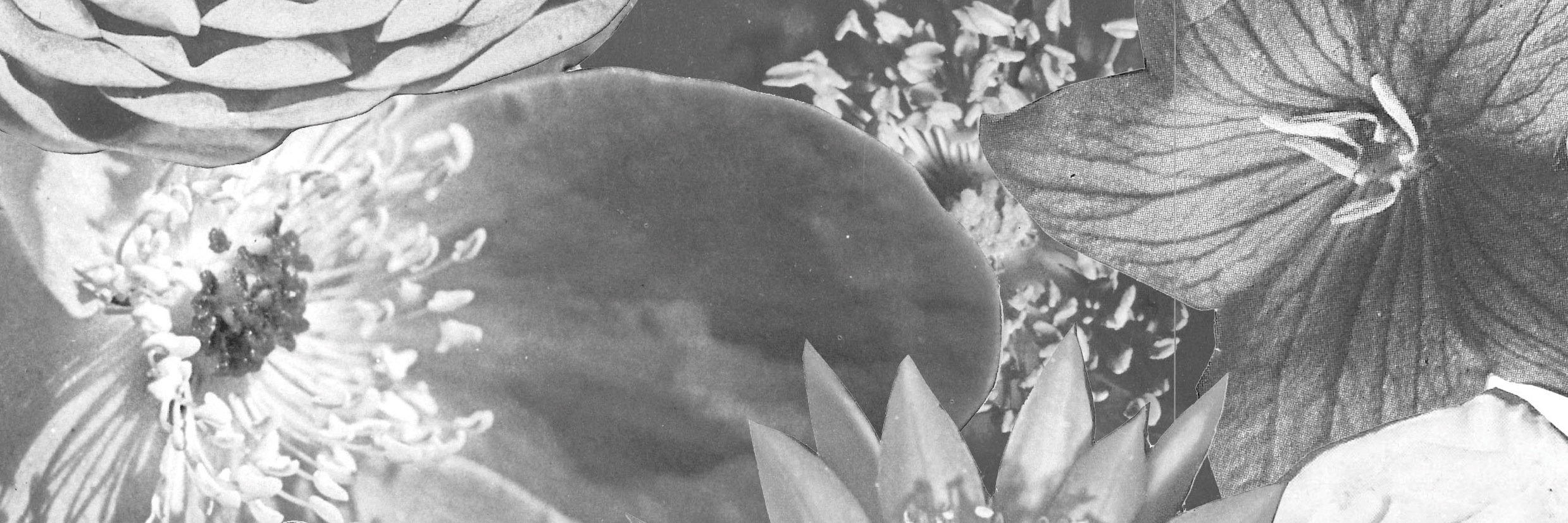 Gretavisuals's profile banner image