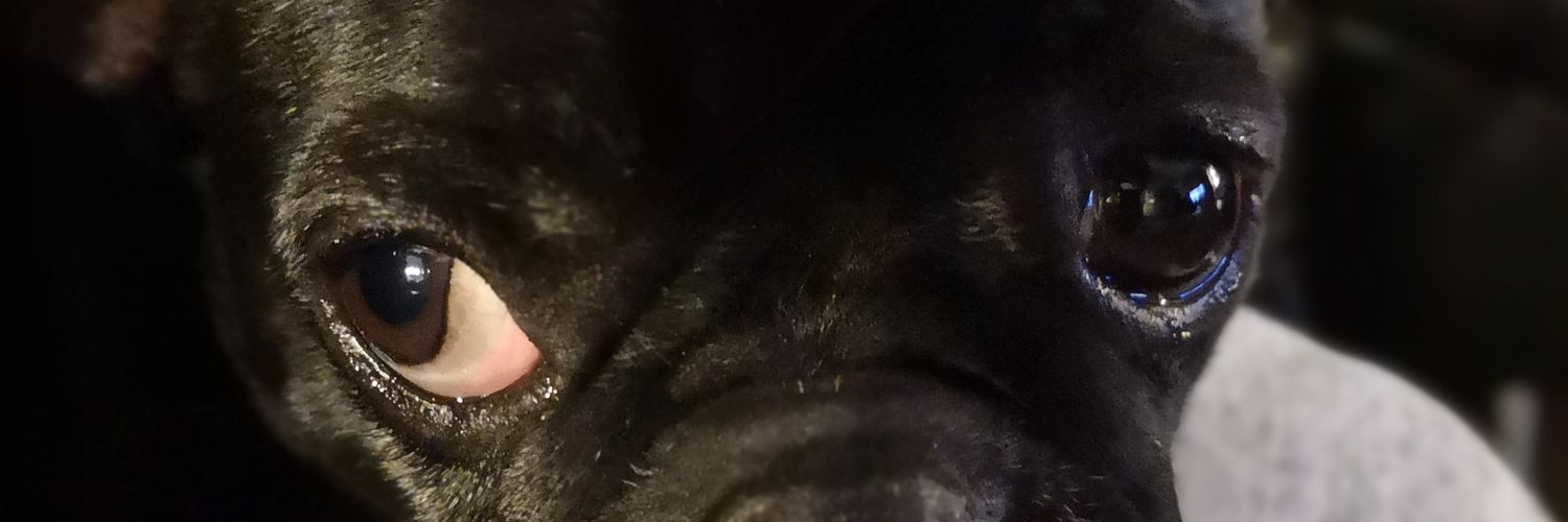 popi012's profile banner image