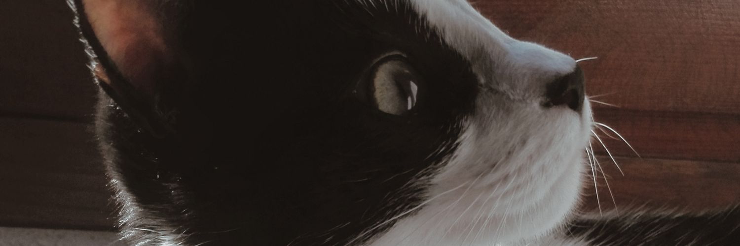 Celsius_94's profile banner image