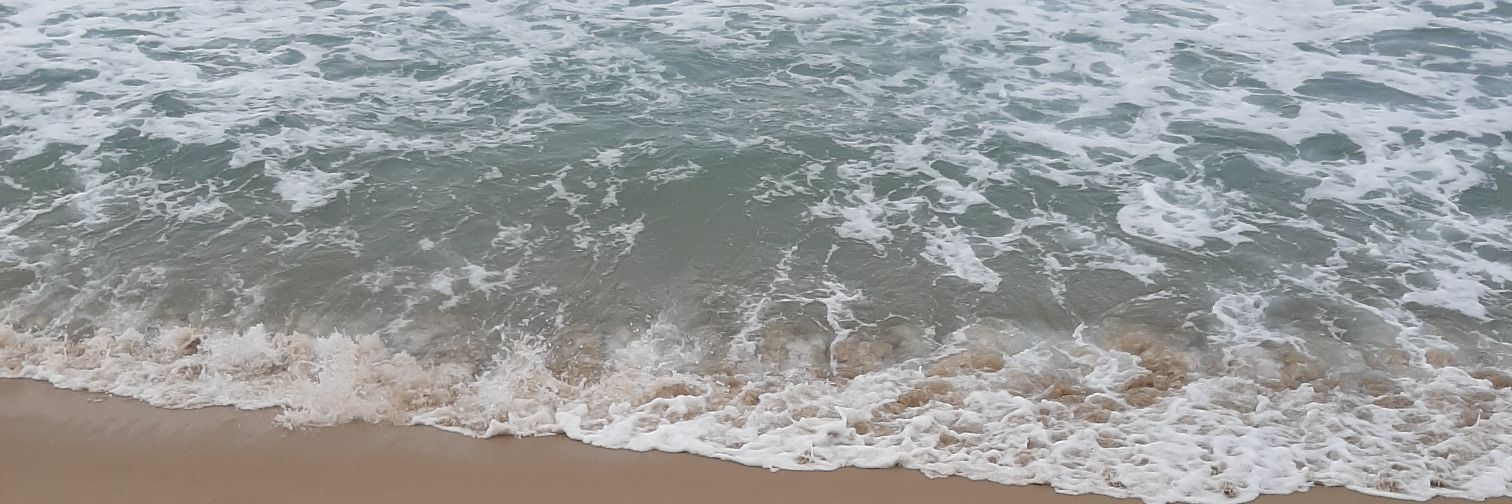 Jesschavarriav's profile banner image