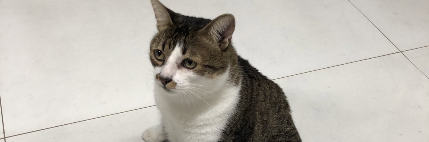 _carolxss's profile banner image