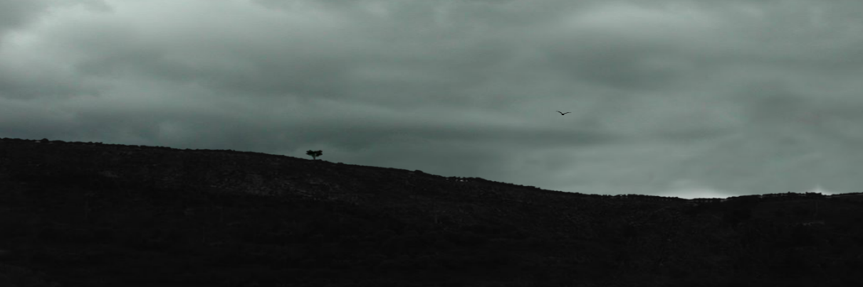 mouseHyacinth's profile banner image
