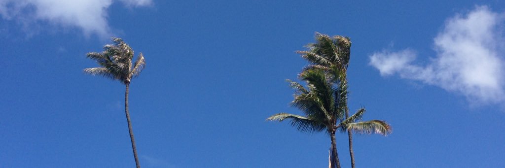 tank808's profile banner image