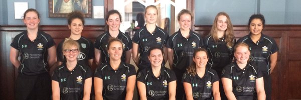 SurreyLadies Profile Banner