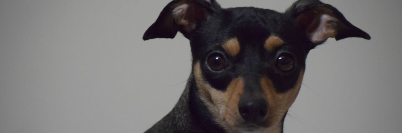 GamerEmms's profile banner image