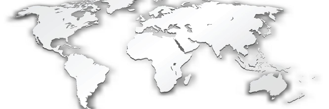 WorldSolutions light banner