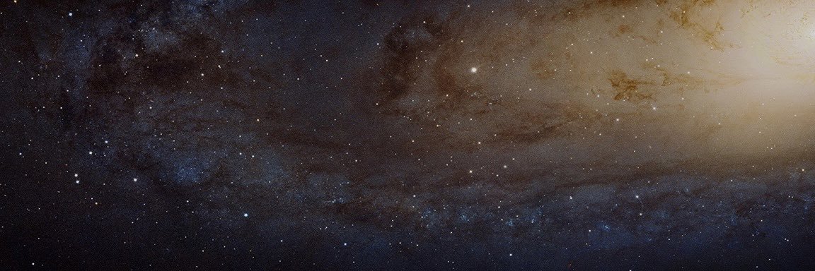maddywalper's profile banner image