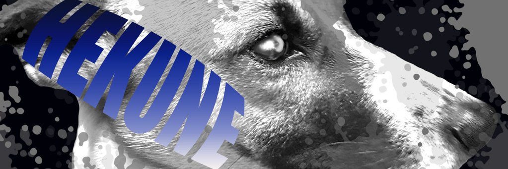 hekune33's profile banner image