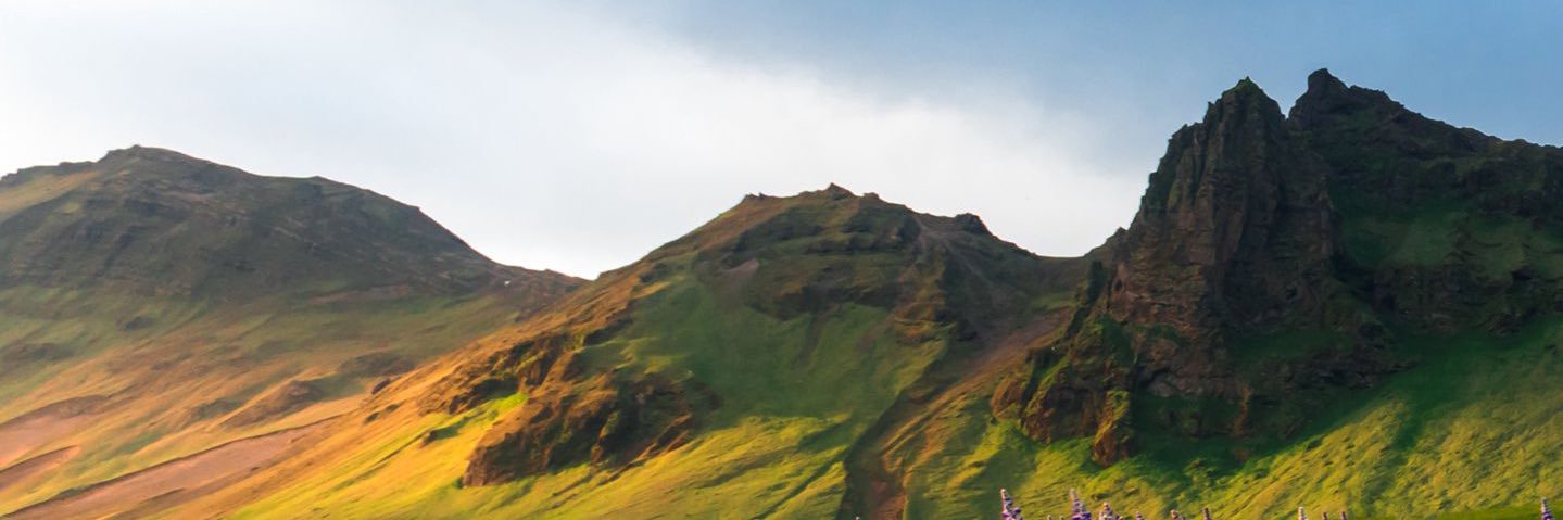 osaimi442's profile banner image