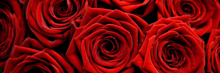itsmewilliamp's profile banner image