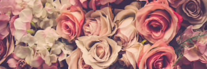 britdegroff's profile banner image