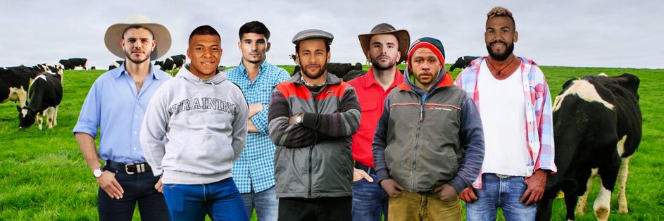 nova_exp's profile banner image