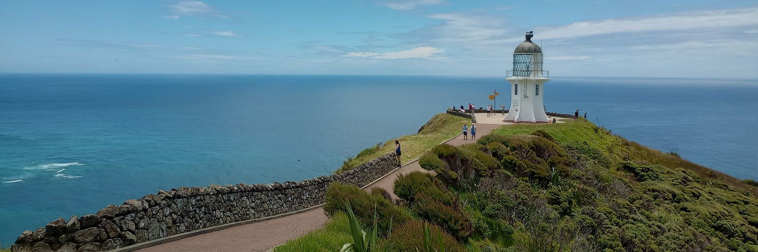 Rachel Meacock 🇪🇺 banner