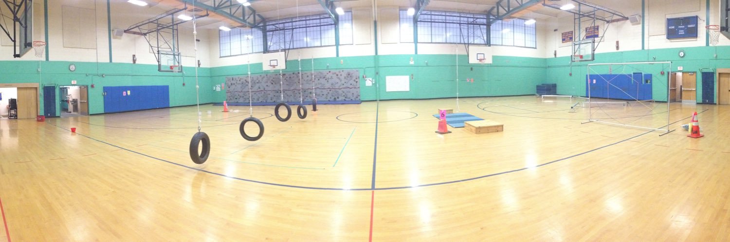 Diamond PE & Health banner