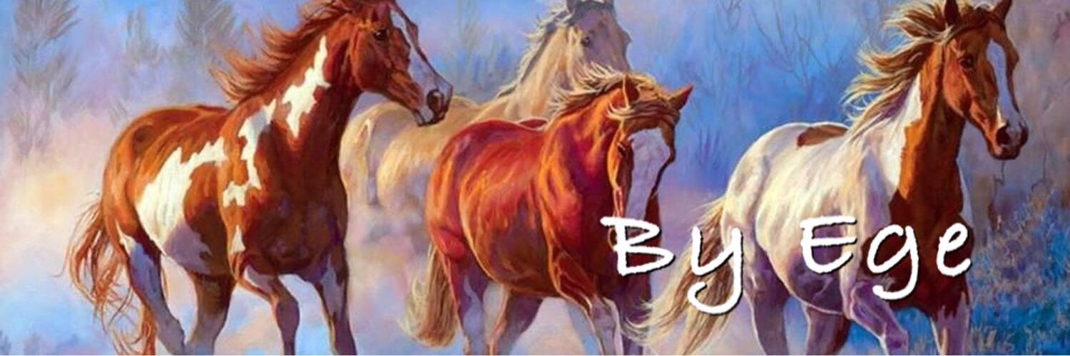 E2Ege's profile banner image