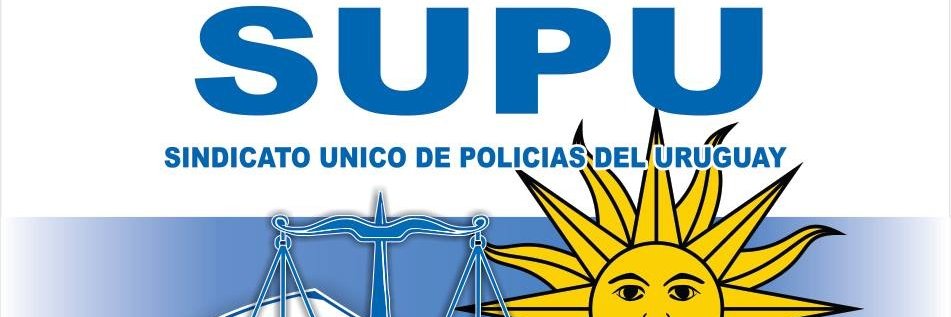 directivasupu's profile banner image