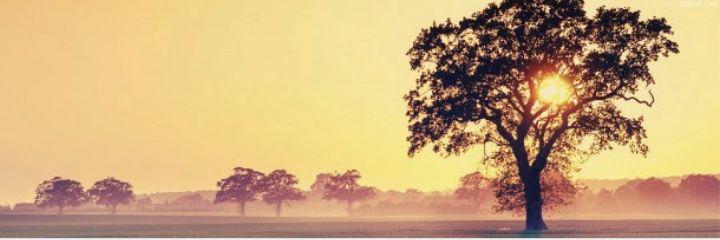 EbBakar's profile banner image
