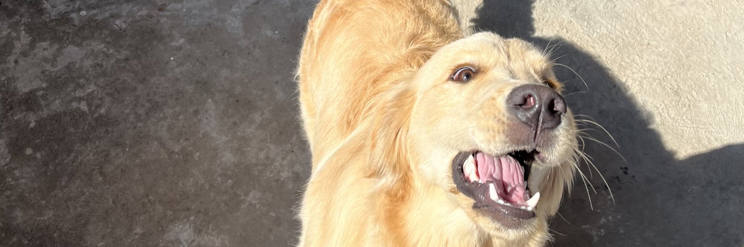 claraisabelcs's profile banner image