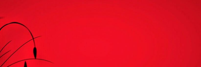 zalan6's profile banner image