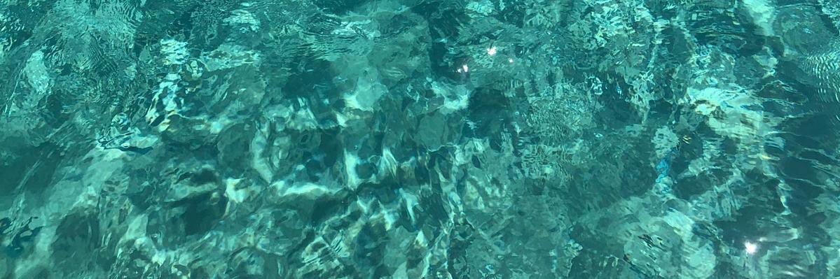 Dance For Meg banner