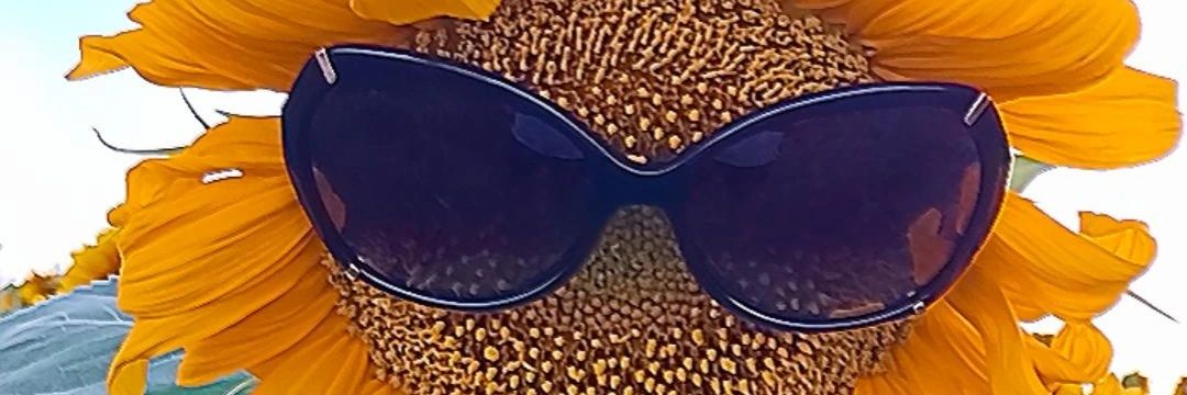 ekoozay's profile banner image