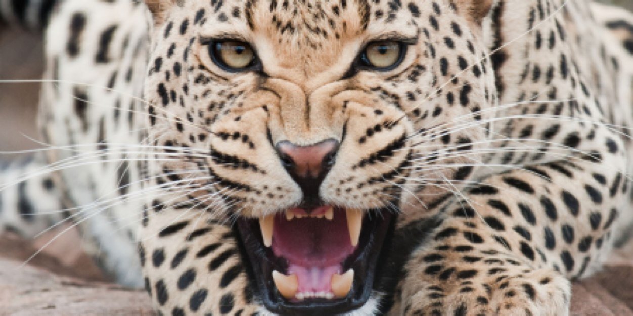 emmademiranda's profile banner image