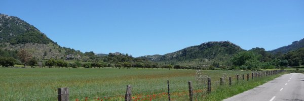 FWCC1934 Profile Banner