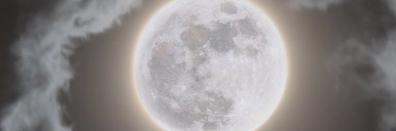 mavbishop's profile banner image
