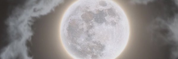 mavbishop Profile Banner