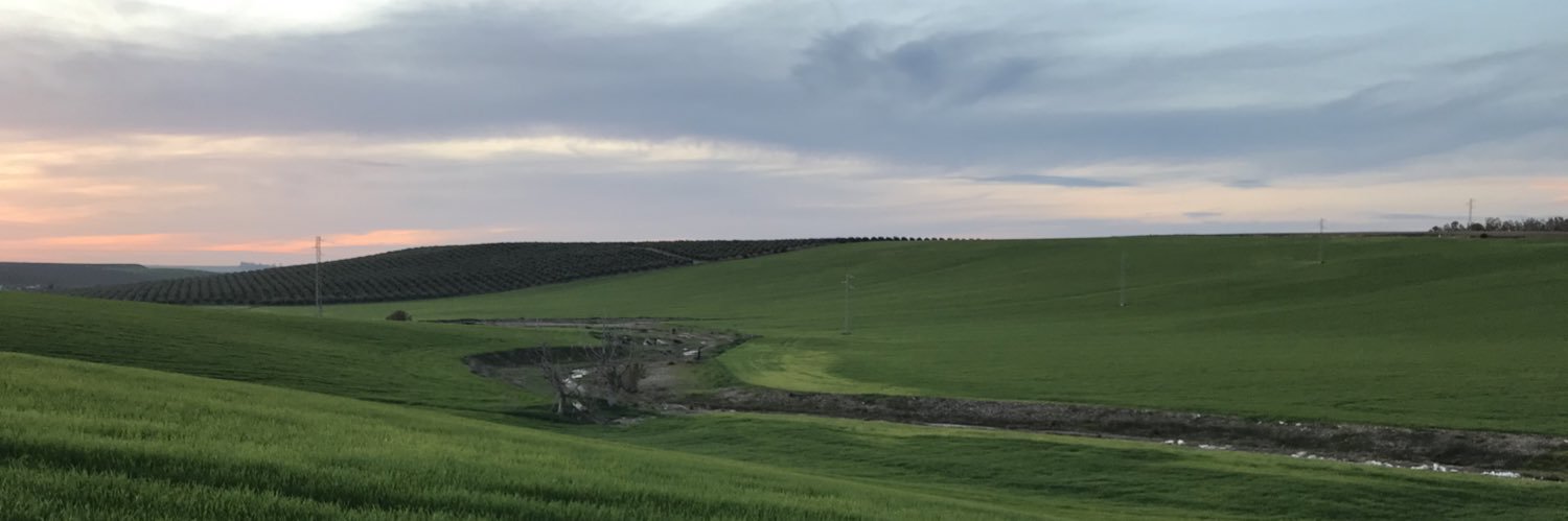 agselfa's profile banner image