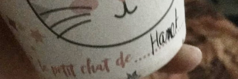 PetiteFeey's profile banner image