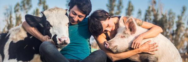 sigualdad Profile Banner