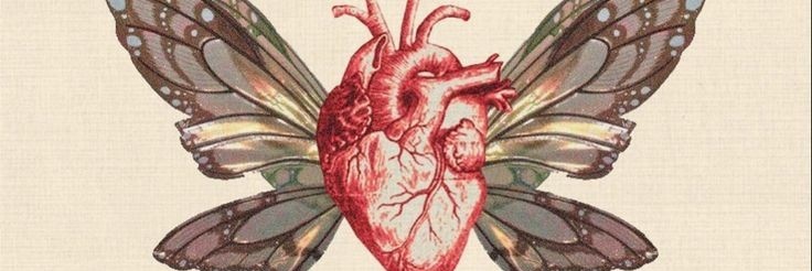 melisaa_leiva's profile banner image